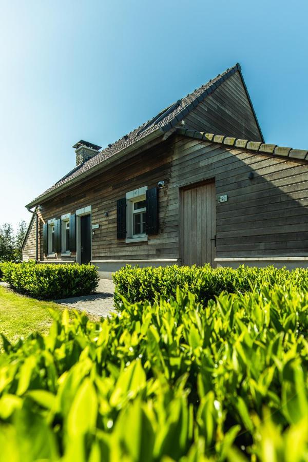 Kolisheide Villa Peer Buitenkant foto